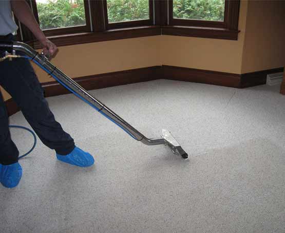 professional carpet cleaning services in braddon